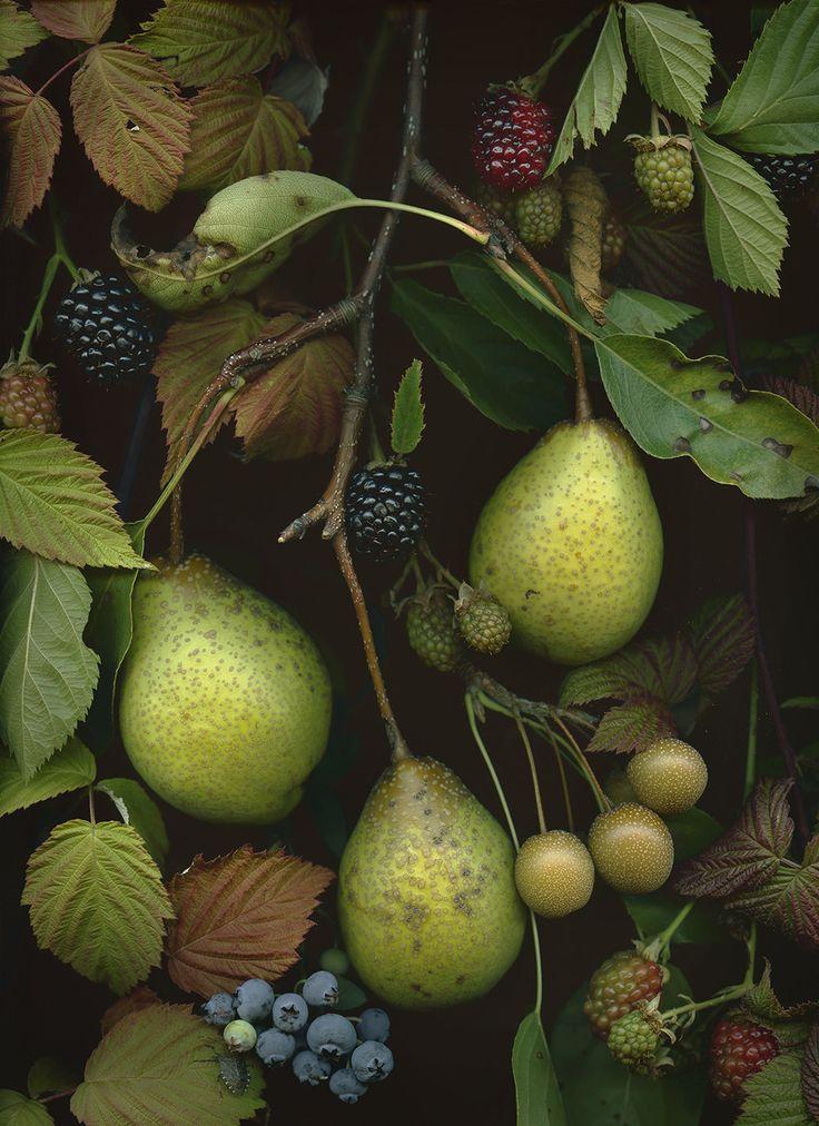 Berry Jubilee: Hand-Picked Sweetness Ensemble