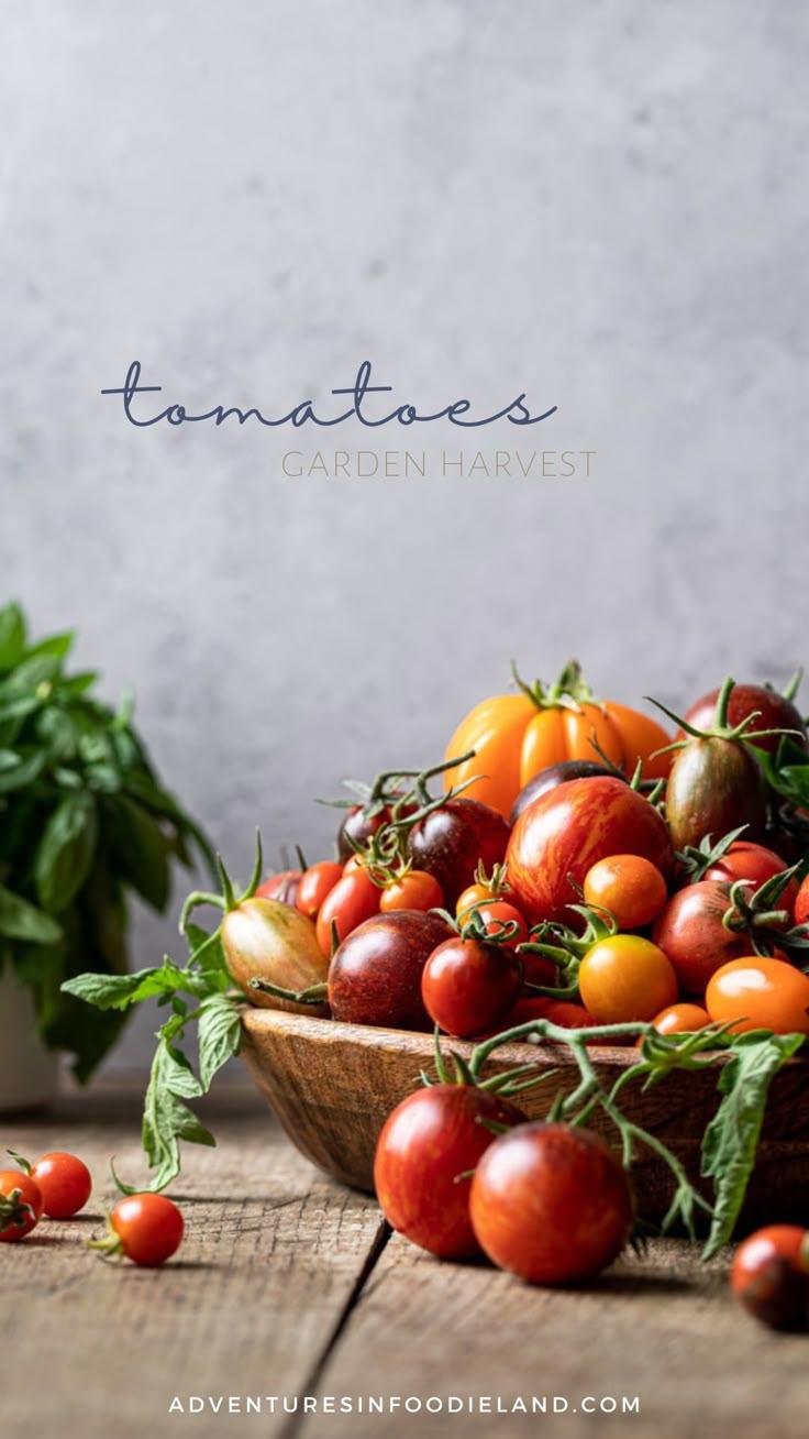 Rustic Roots Collection: Earthy Vegetable Selection